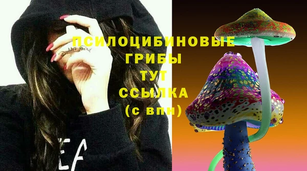 трава Наволоки